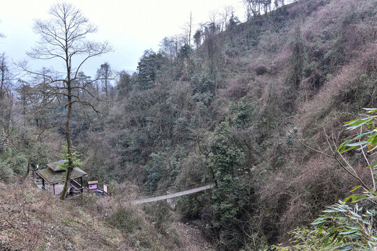 峡谷吊桥