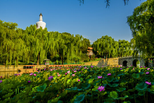 北京北海公园夏日风光