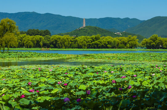 北京颐和园夏日风光