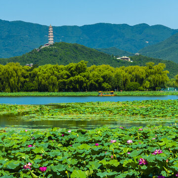 北京颐和园夏日风光