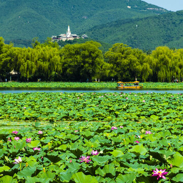 北京颐和园夏日风光