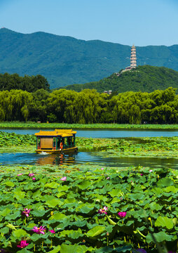 北京颐和园夏日风光