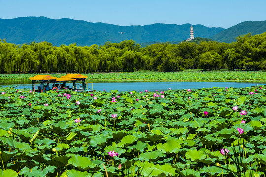 北京颐和园夏日风光