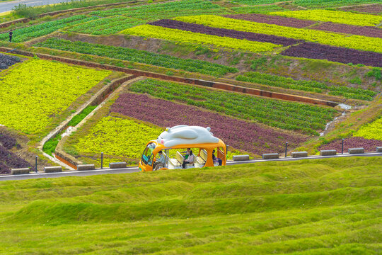 从化天人山水大地艺术园景区