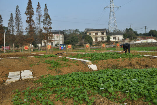 美丽乡村建设节点