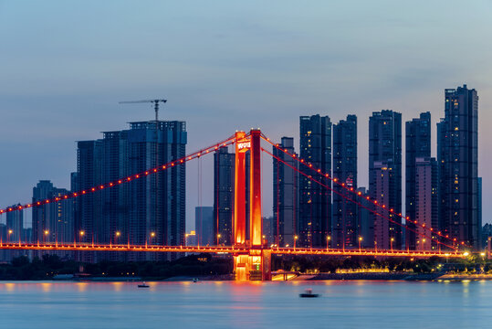 湖北武汉鹦鹉洲长江大桥夜景