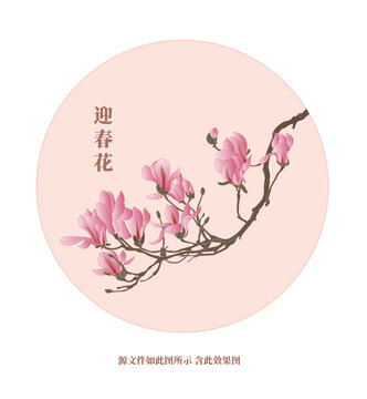 迎春花