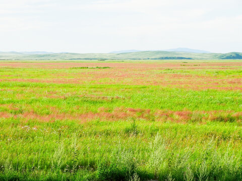 满洲里草原风景