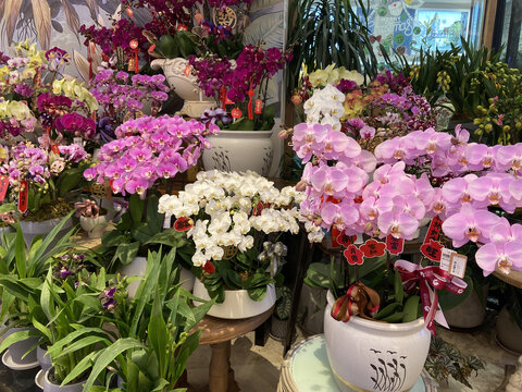 鲜花店铺