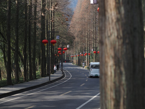 青城山道路