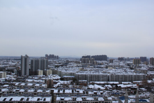 城市兔年雪景