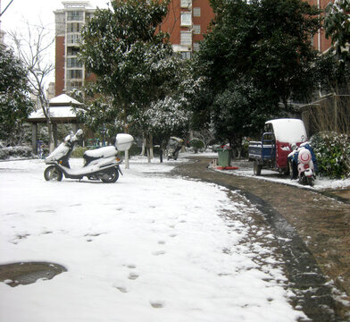 小区兔年雪景