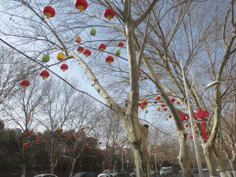 春节灯笼装饰