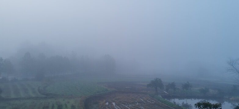 田园大雾