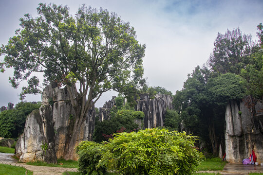 云南昆明大石林风景区