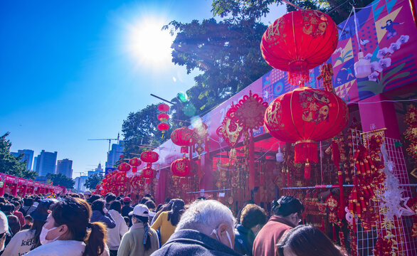 春节逛花市