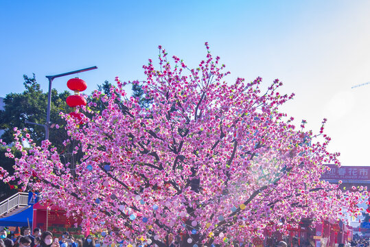 罗湖花市