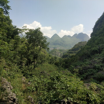 风景