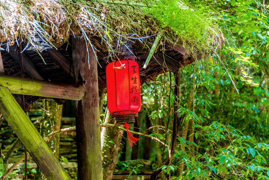 中国湖北神农架天生桥景区