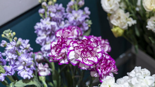 鲜花