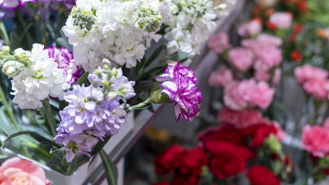 鲜花