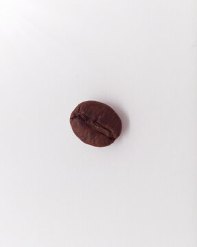 一粒咖啡豆