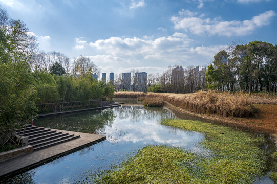 城市公园风景