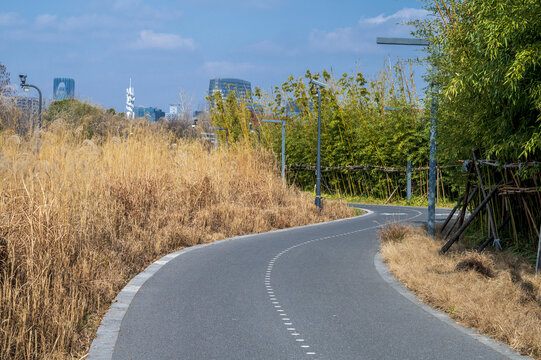 秋天公园的骑行道路