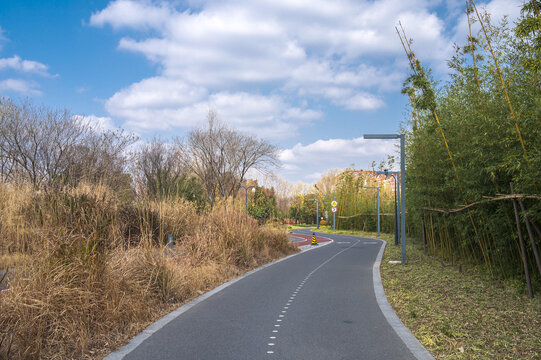 城市郊野公园的小路