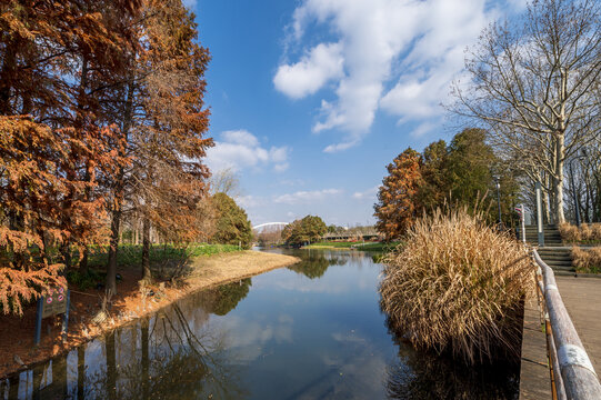 上海后滩湿地公园秋日风景