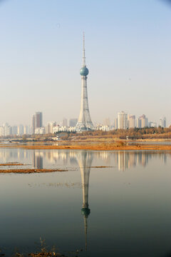 洛浦公园秋景