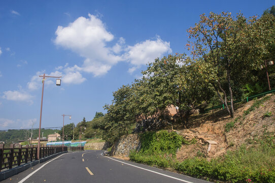 永定洪坑景区公路