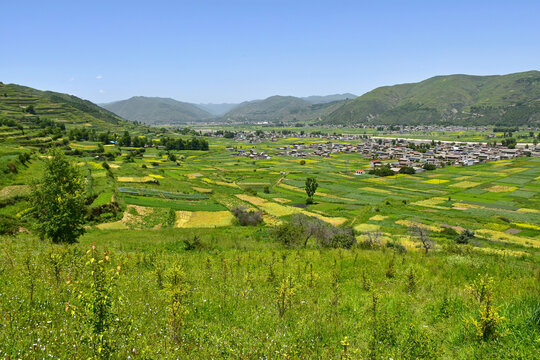 夏日乡村风光