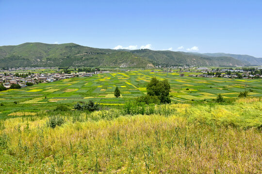 夏日乡村风光