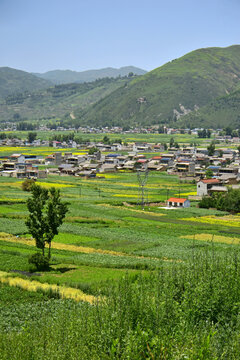 乡村夏日风光