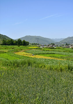 夏日乡村风光