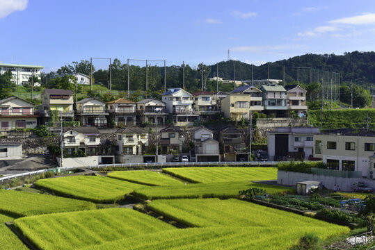 田地间的民房