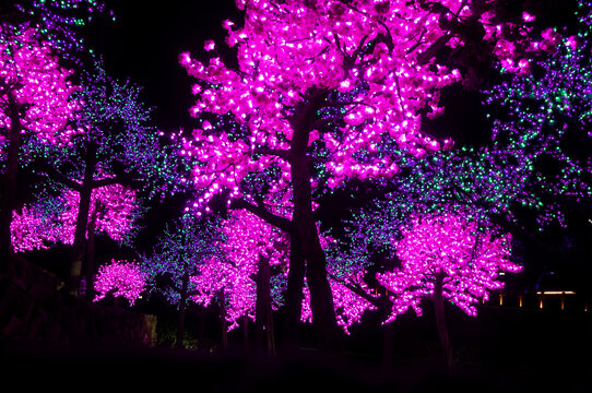 彩灯装饰树