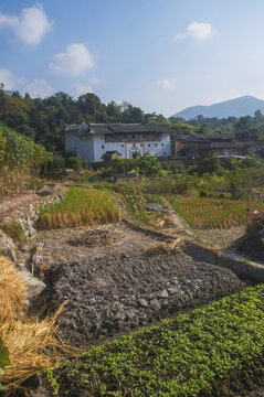 山村乡土风景