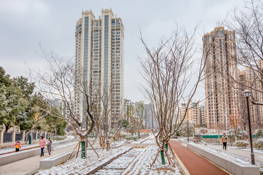 庐州铁线公园雪景