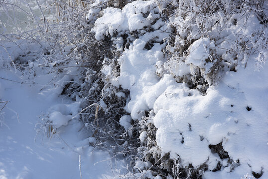 积雪