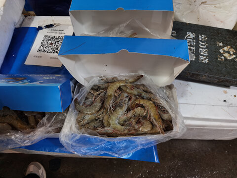 深海大虾