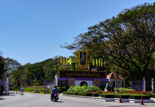 清迈大学