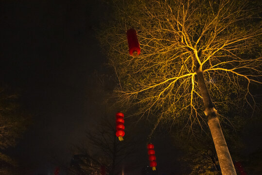 夜景红灯笼