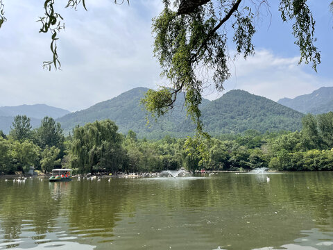 动物园的湖