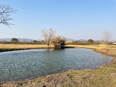 冬日湖泊