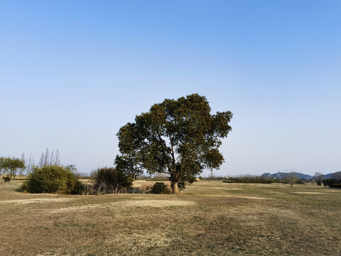 空旷原野