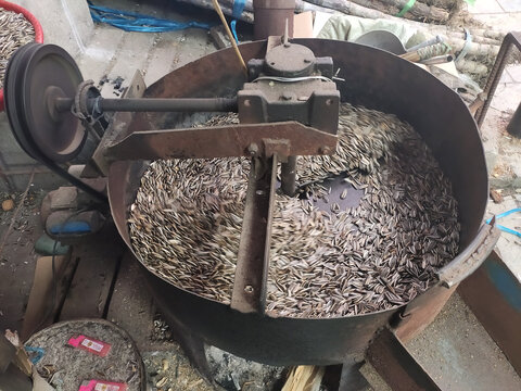 炒瓜子特写