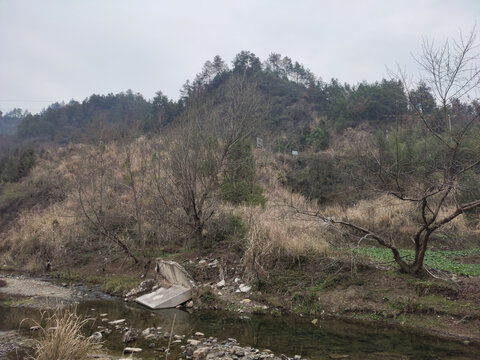 绿水青山