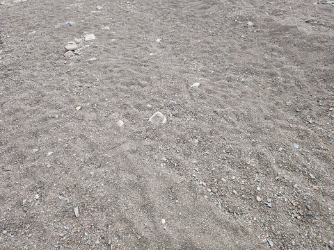 河里的砂子